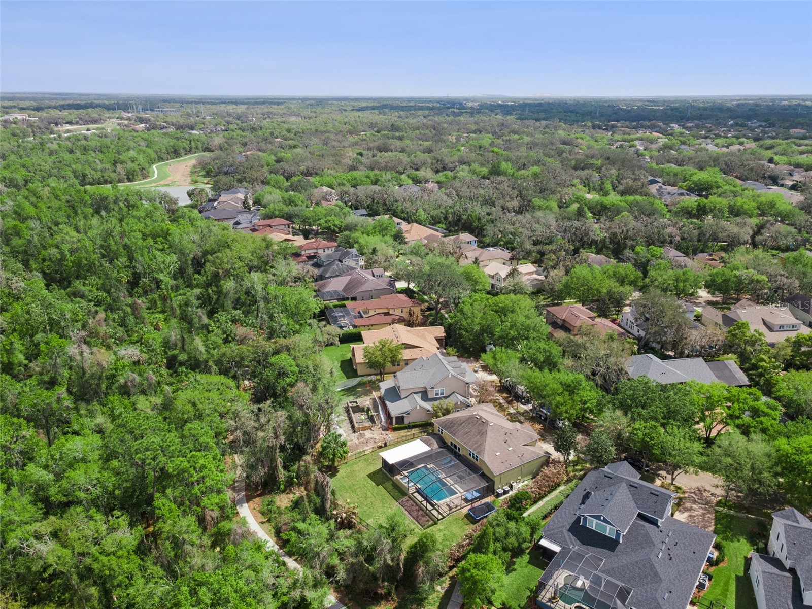 15940 Ternglade Drive Lithia FL 33547 O6390089 image58