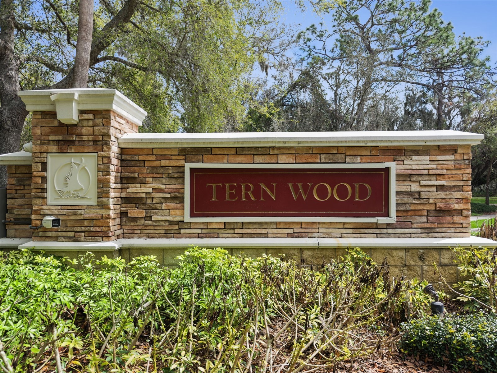 15940 Ternglade Drive Lithia FL 33547 O6390089 image65