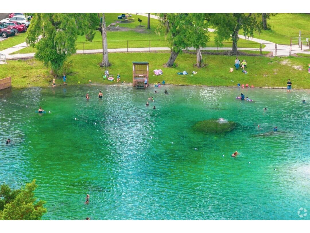 15940 Ternglade Drive Lithia FL 33547 O6390089 image71