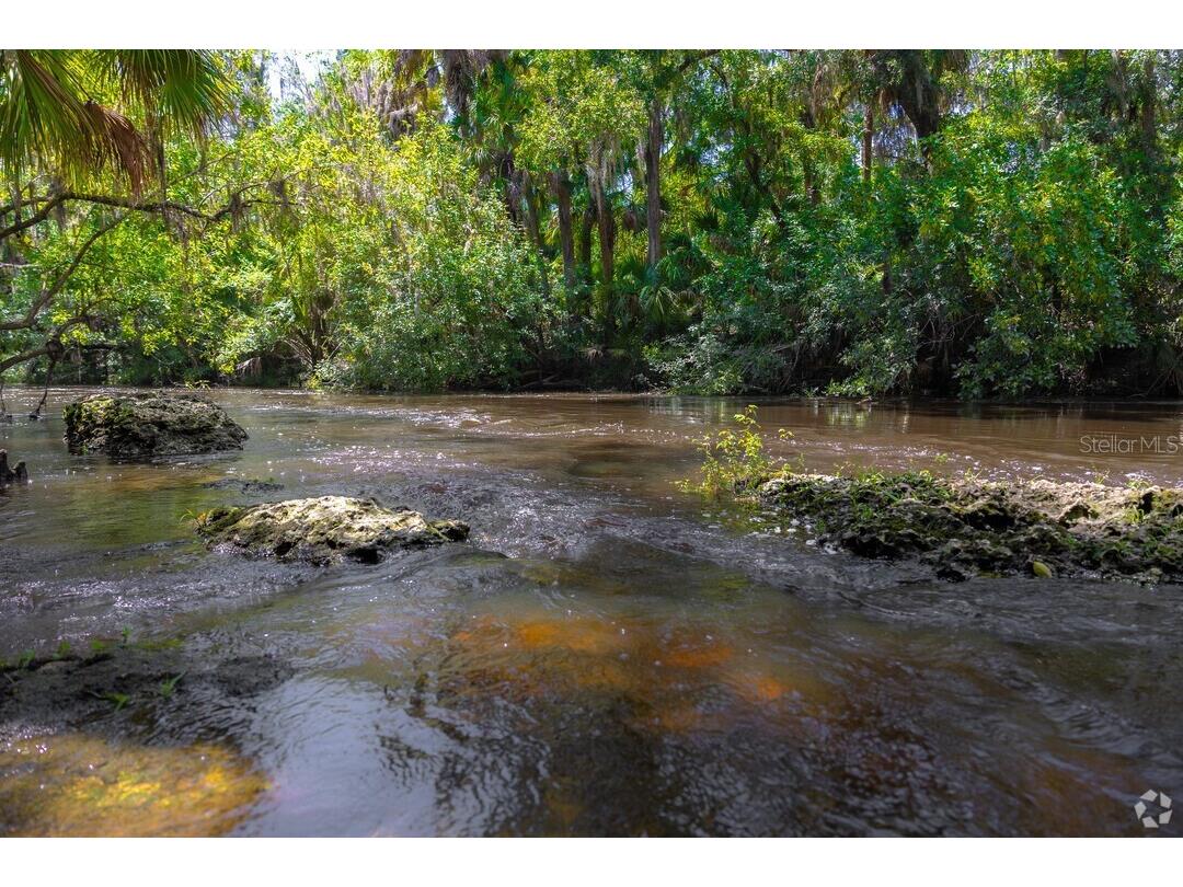 15940 Ternglade Drive Lithia FL 33547 O6390089 image73