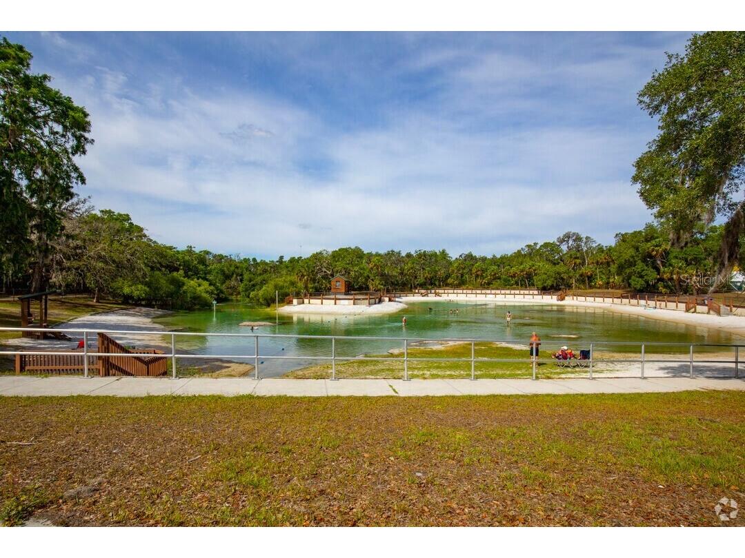 15940 Ternglade Drive Lithia FL 33547 O6390089 image74