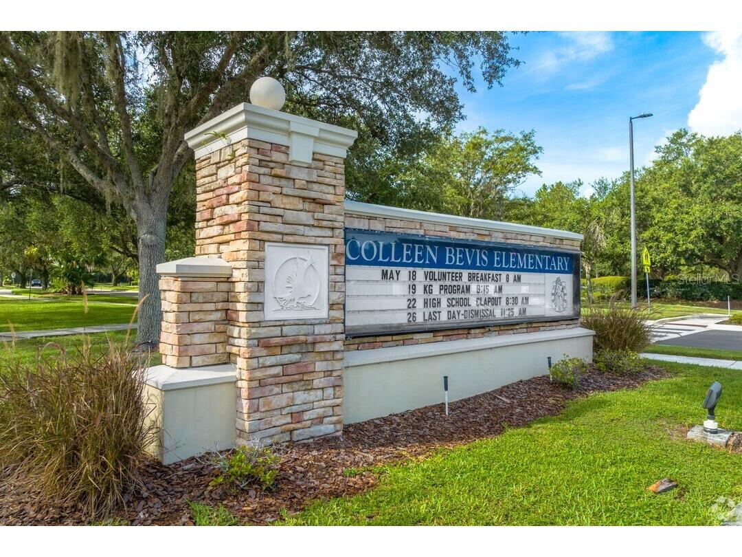 15940 Ternglade Drive Lithia FL 33547 O6390089 image75