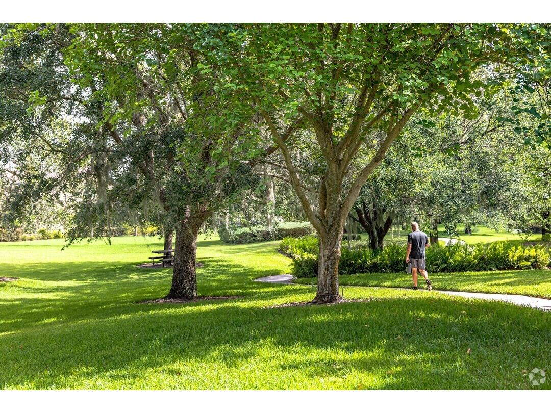 15940 Ternglade Drive Lithia FL 33547 O6390089 image77