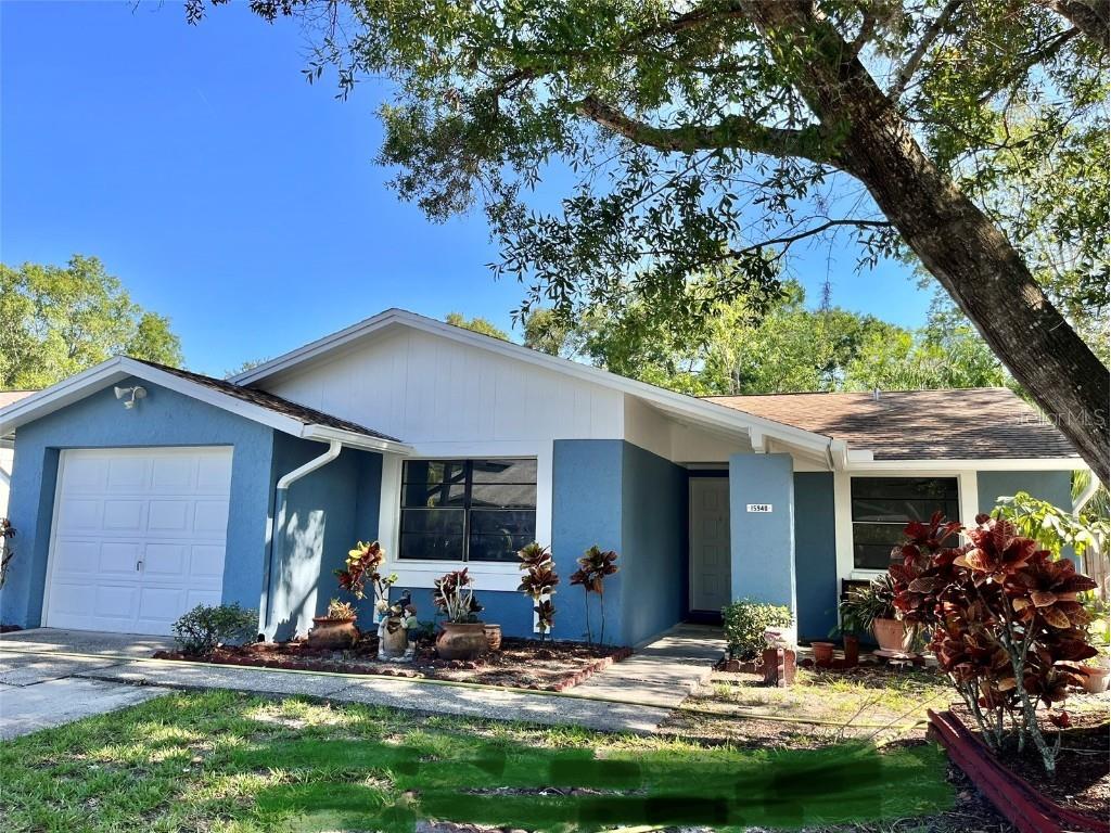 15940 Winding Drive Tampa FL 33624 U8197911 image1