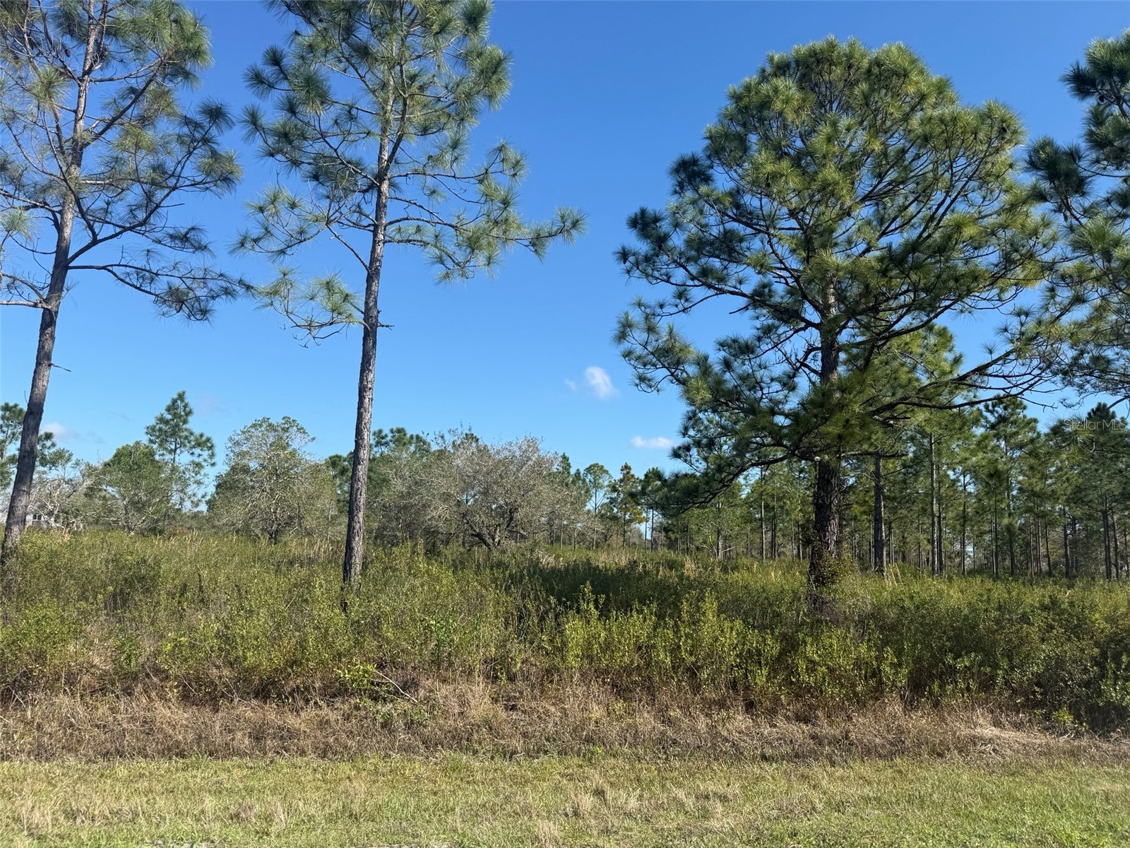 15942 NW 312th Street Okeechobee FL 34972 K4903333 image1
