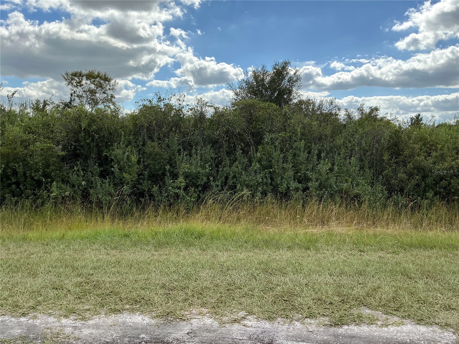 15944 NW 266th Street Okeechobee FL 34972 OM714963 image1