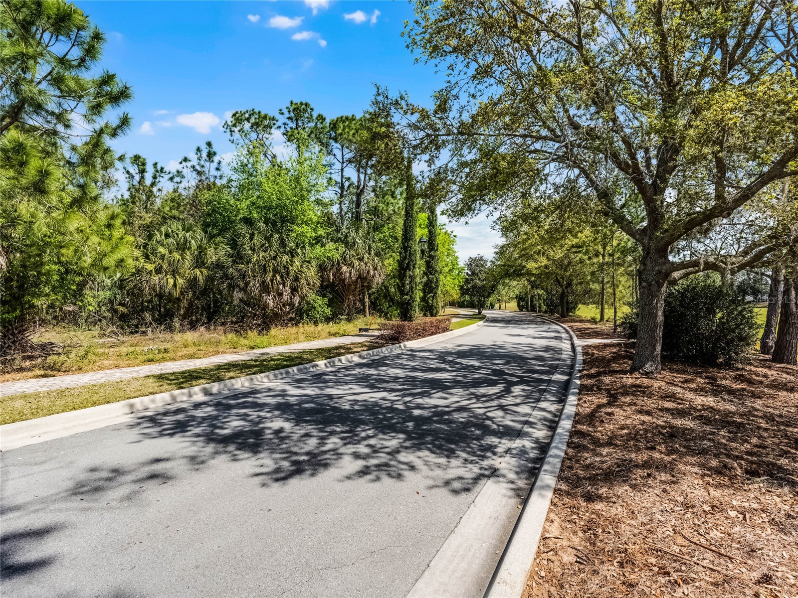 15946 Pendio Drive Montverde FL 34756 G5111165 image2