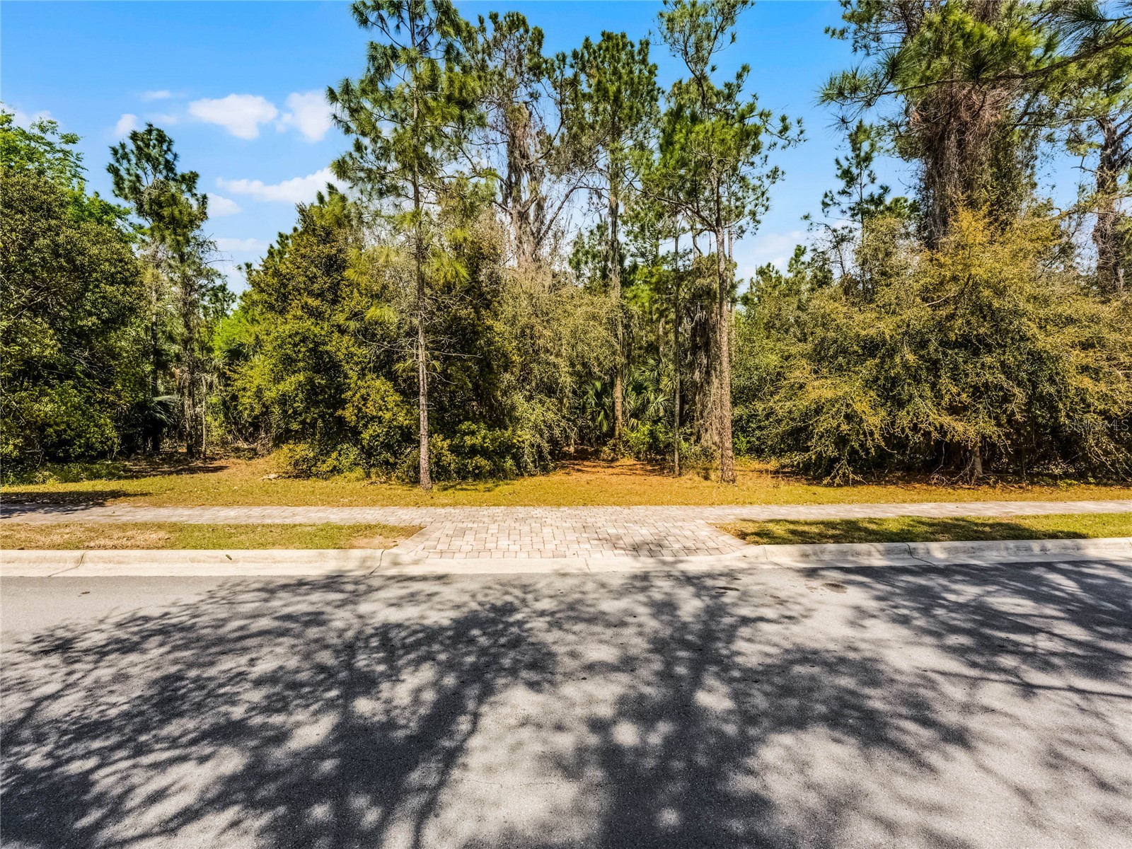 15946 Pendio Drive Montverde FL 34756 G5111165 image3