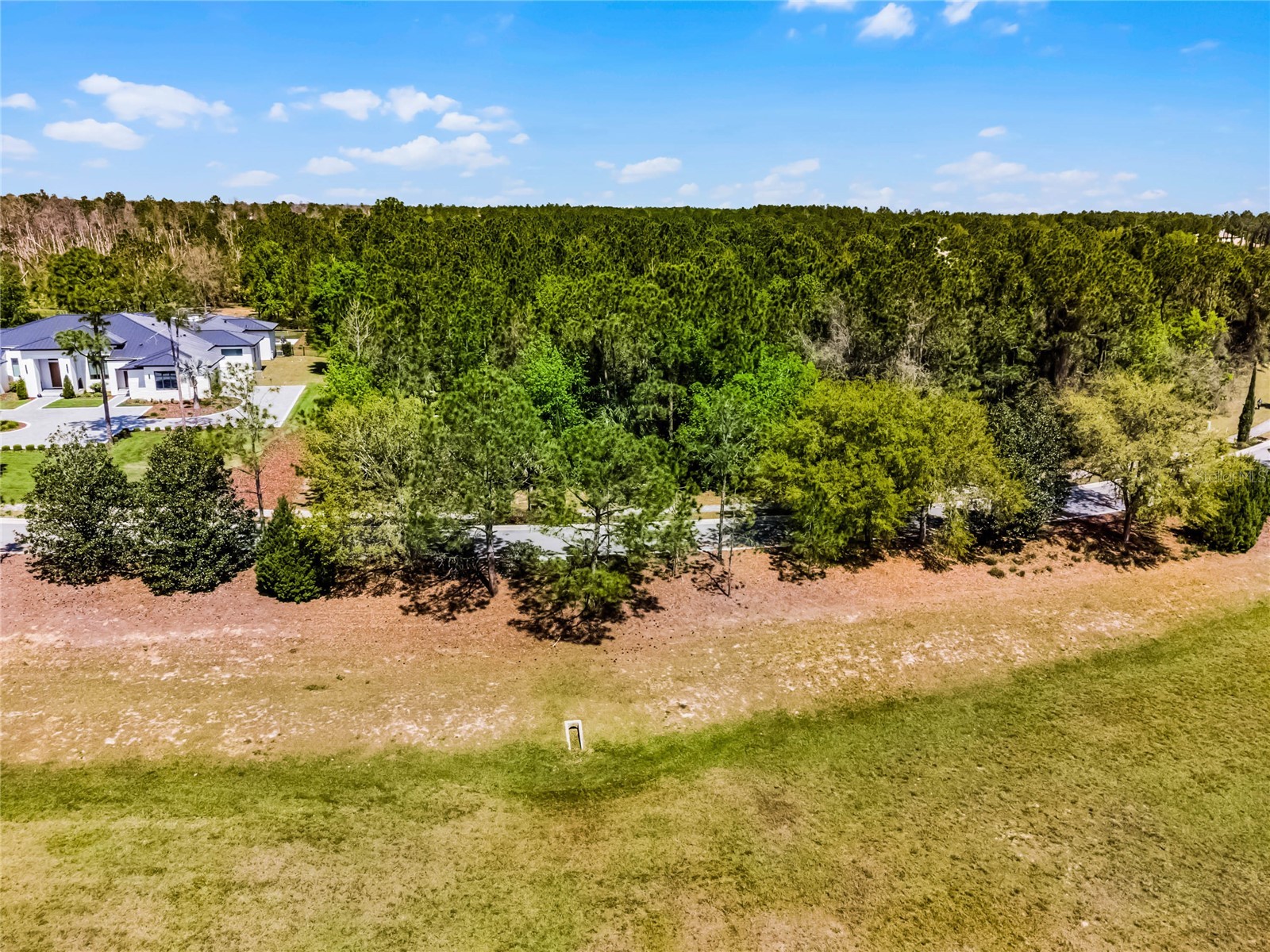 15946 Pendio Drive Montverde FL 34756 G5111165 image30