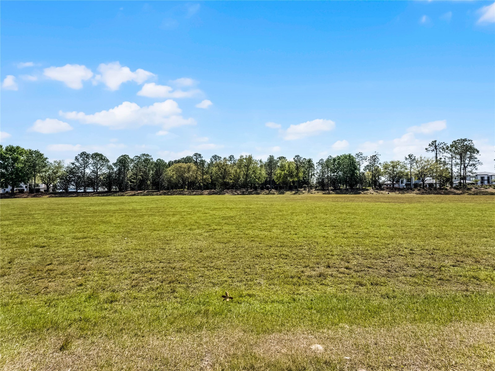 15946 Pendio Drive Montverde FL 34756 G5111165 image4