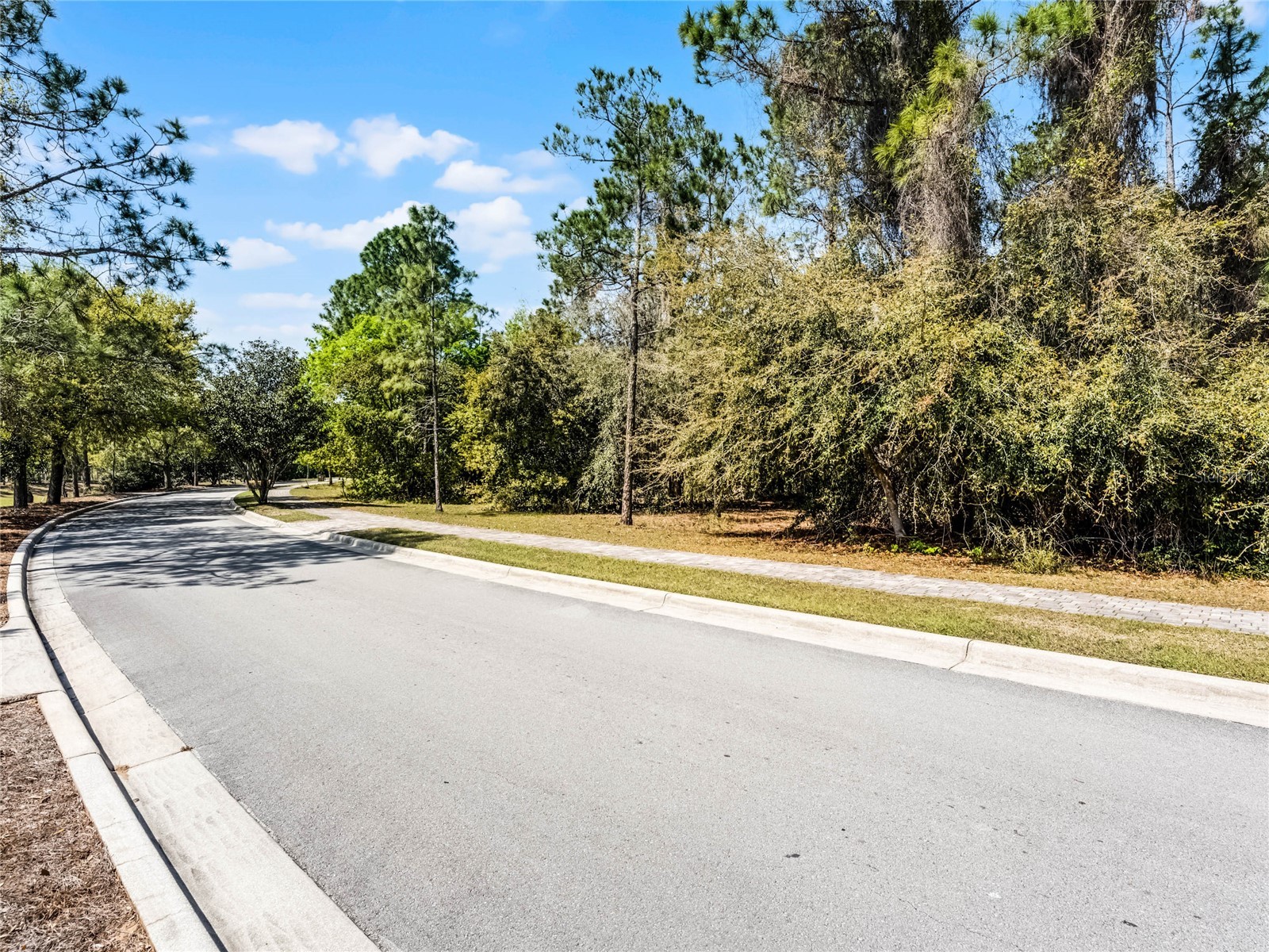 15946 Pendio Drive Montverde FL 34756 G5111165 image5