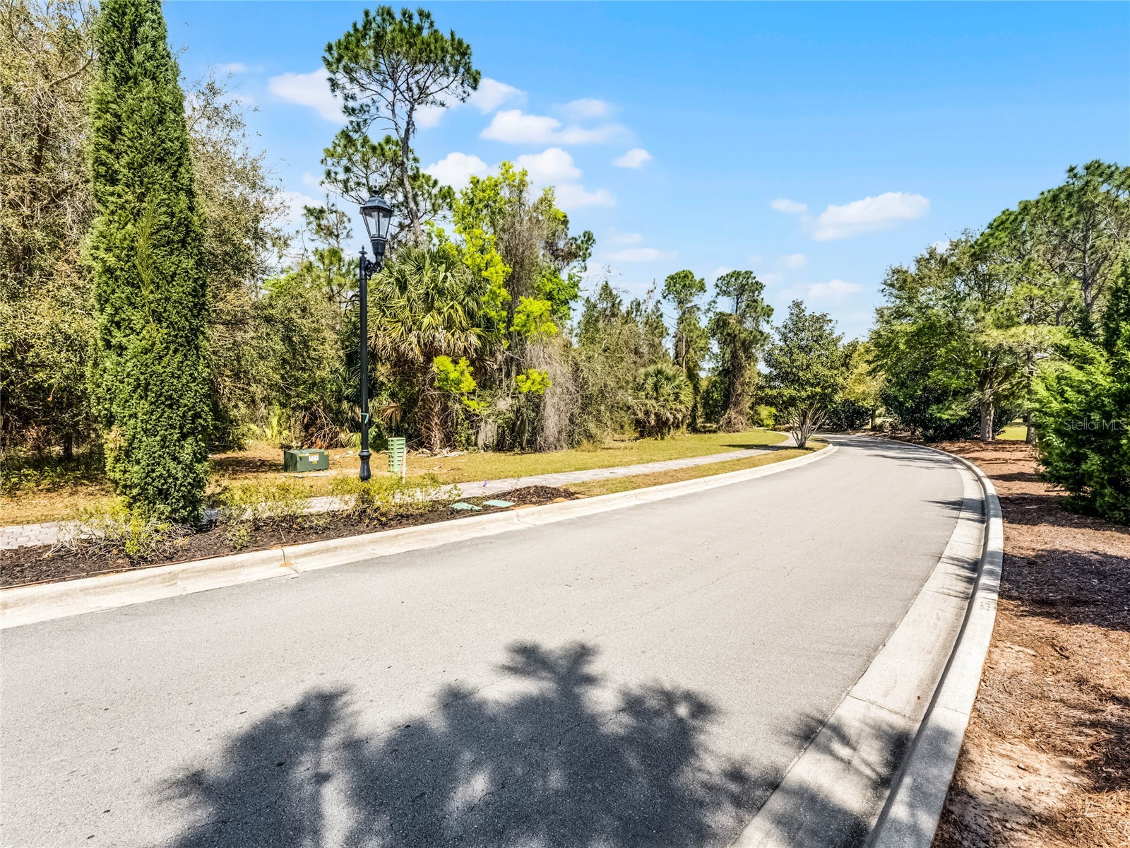 15946 Pendio Drive Montverde FL 34756 G5111165 image6