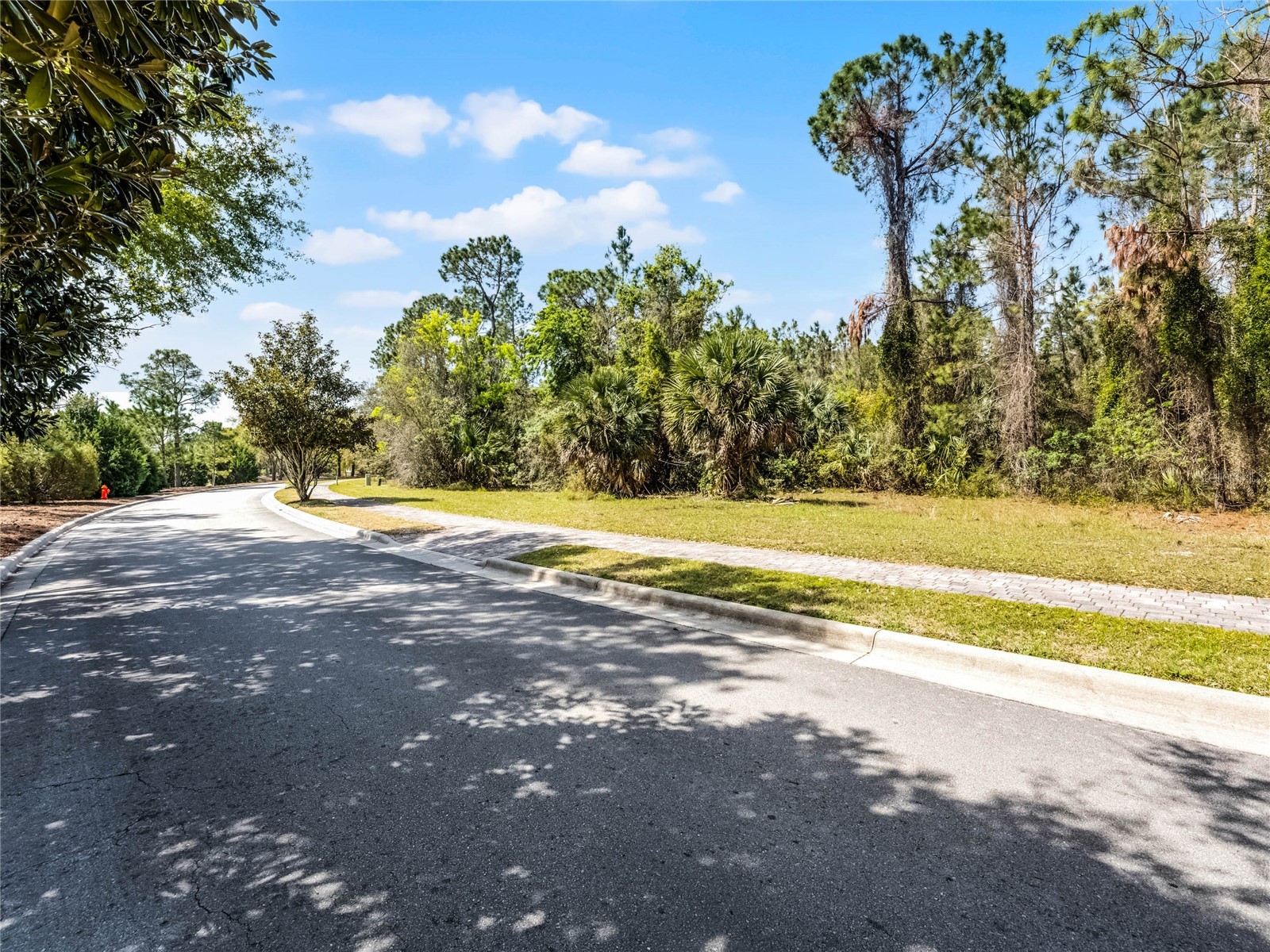 15946 Pendio Drive Montverde FL 34756 G5111165 image7
