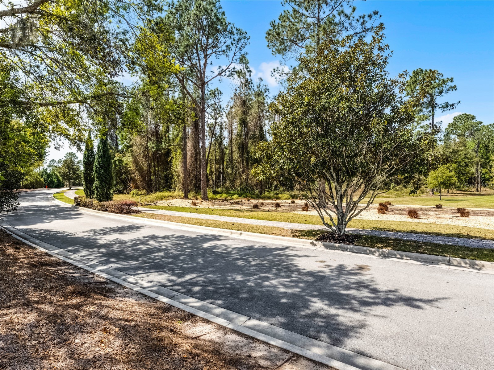 15946 Pendio Drive Montverde FL 34756 G5111165 image8