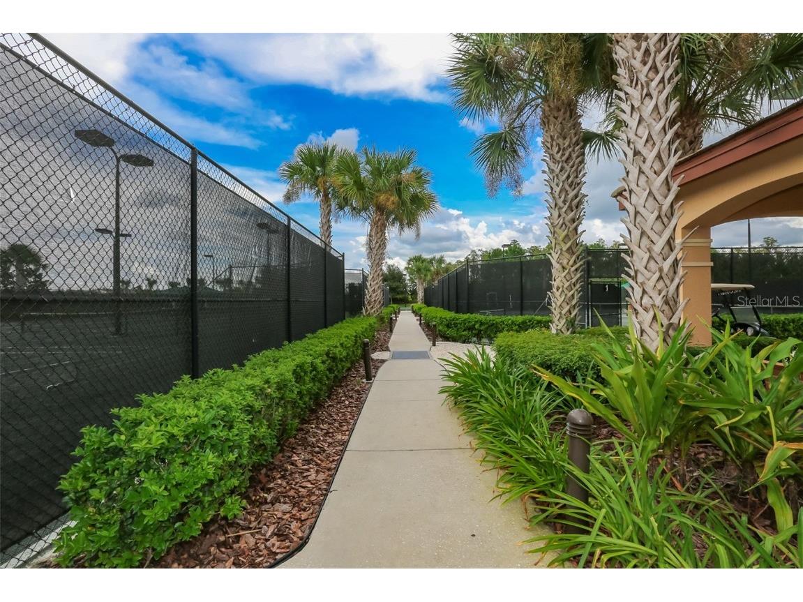 15948 Cobble Mill Drive Wimauma FL 33598 TB8443188 image49