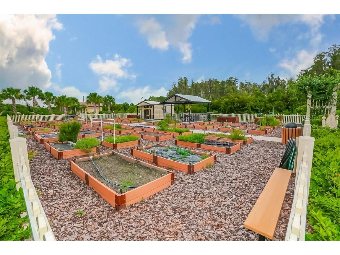 15948 Cobble Mill Drive Wimauma FL 33598 TB8443188 image54