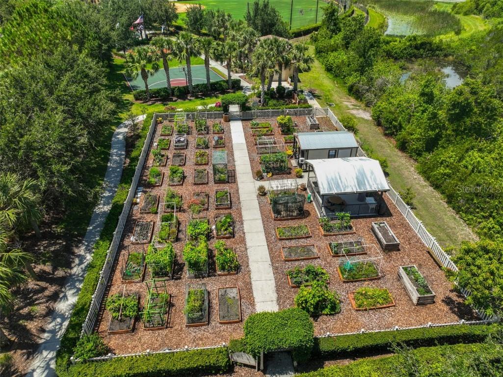 15948 Cobble Mill Drive Wimauma FL 33598 TB8443188 image67