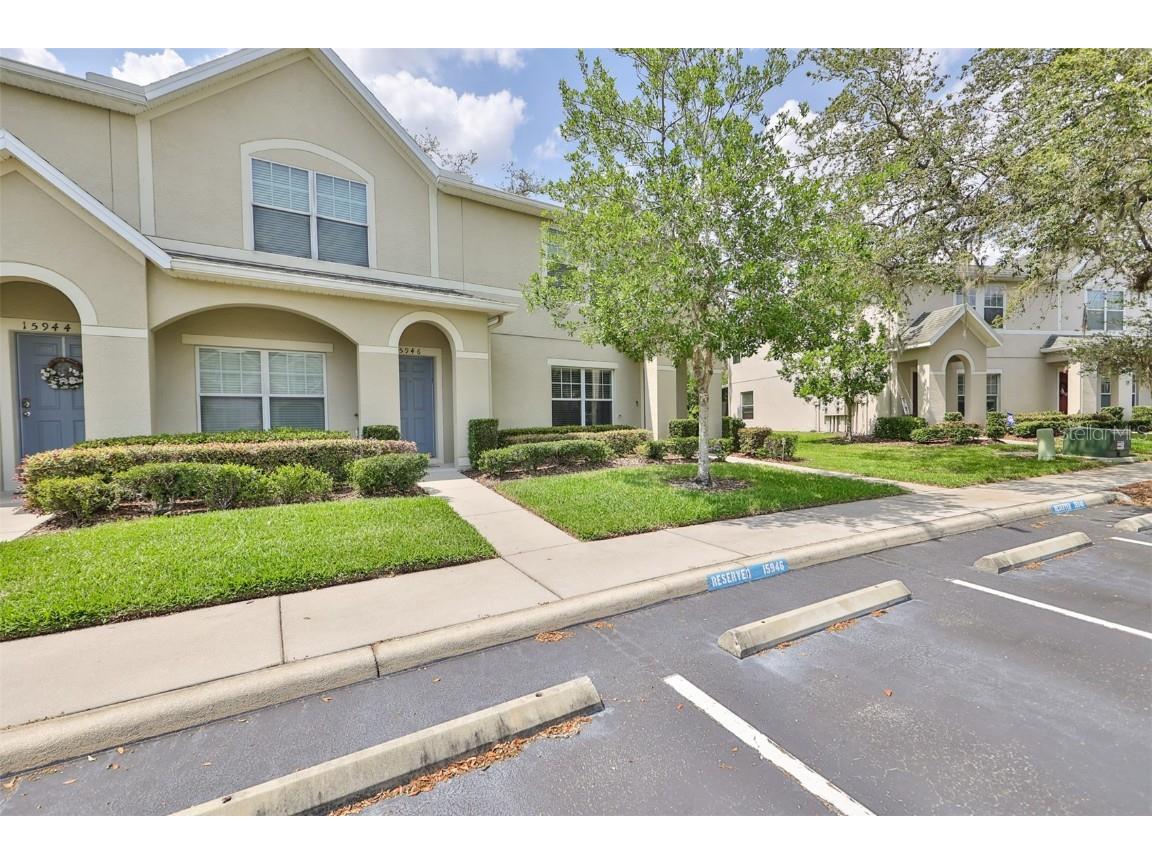 15948 Fishhawk View Drive Lithia FL 33547 T3445418 image1