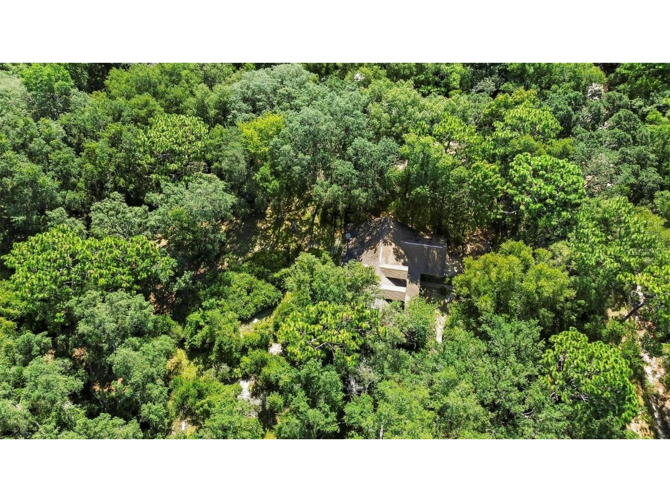 1595 1st Street Orange City FL 32763 V4937215 image1