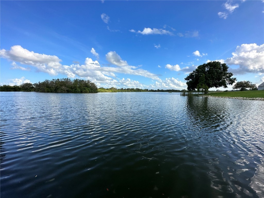 1595 Lakeside Drive Bartow FL 33830 L4939835 image1