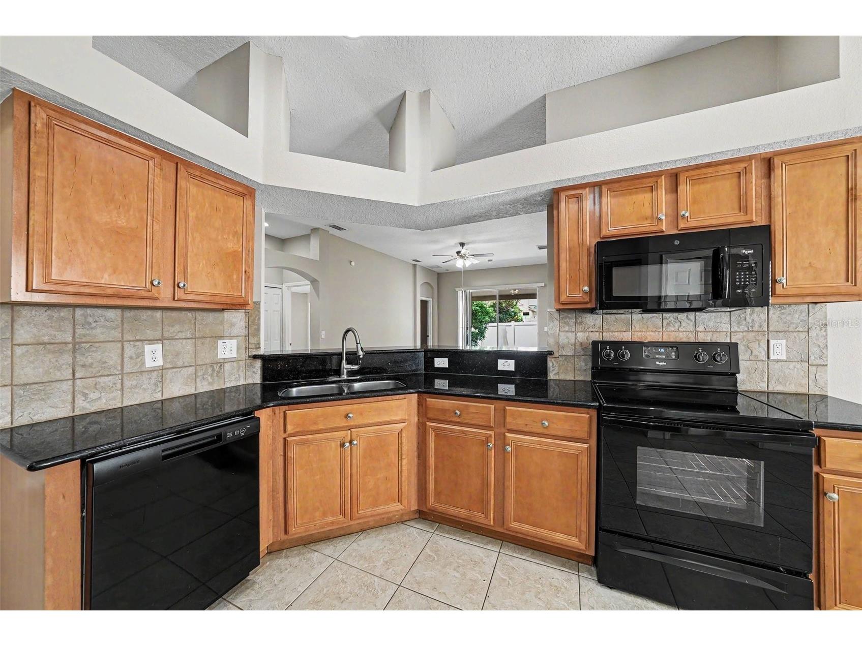 15950 Leatherleaf Lane Land O Lakes FL 34638 TB8509157 image9