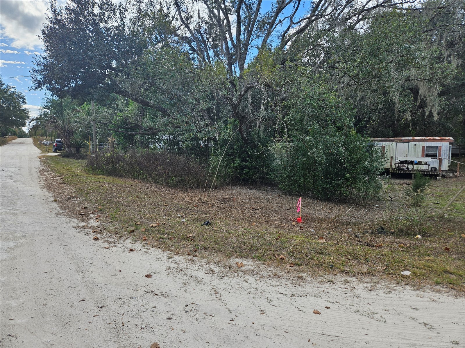 15950 NE 4th Place Williston FL 32696 OM716664 image4