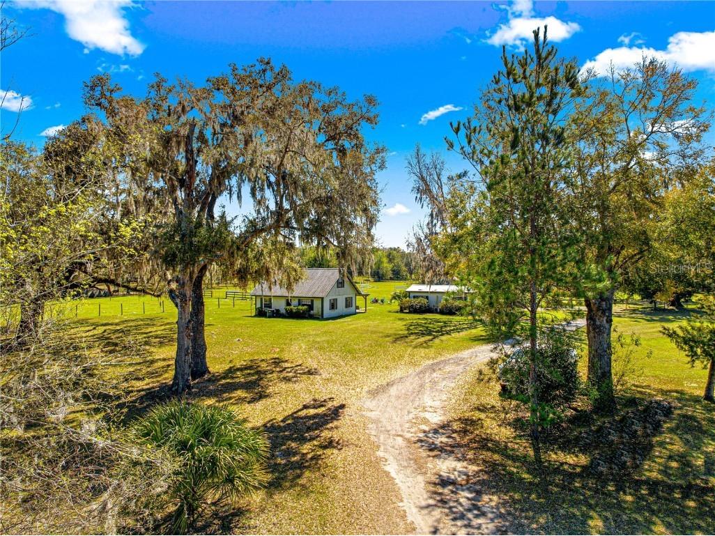 15950 NE 50th Street Williston FL 32696 OM696275 image1