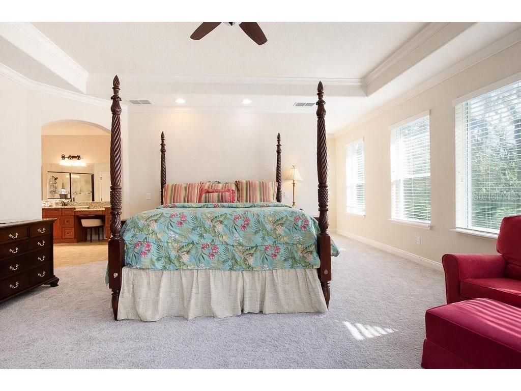 15950 Splendid Oaks Lane Tavares FL 32778 O6390629 image17