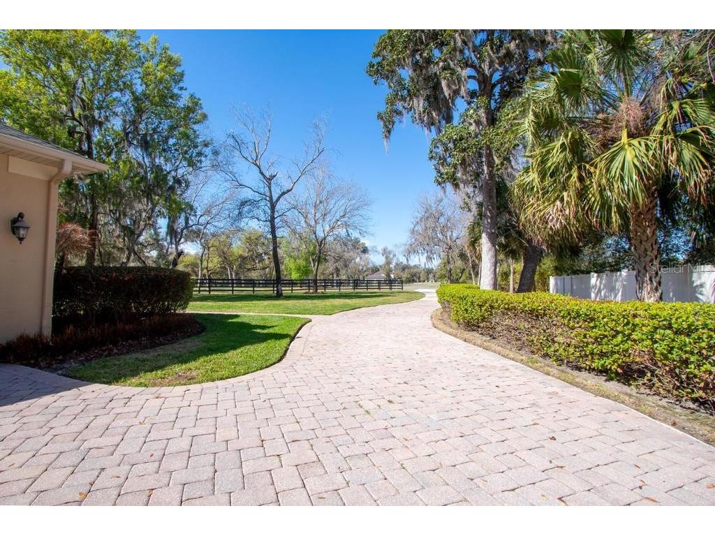 15950 Splendid Oaks Lane Tavares FL 32778 O6390629 image35