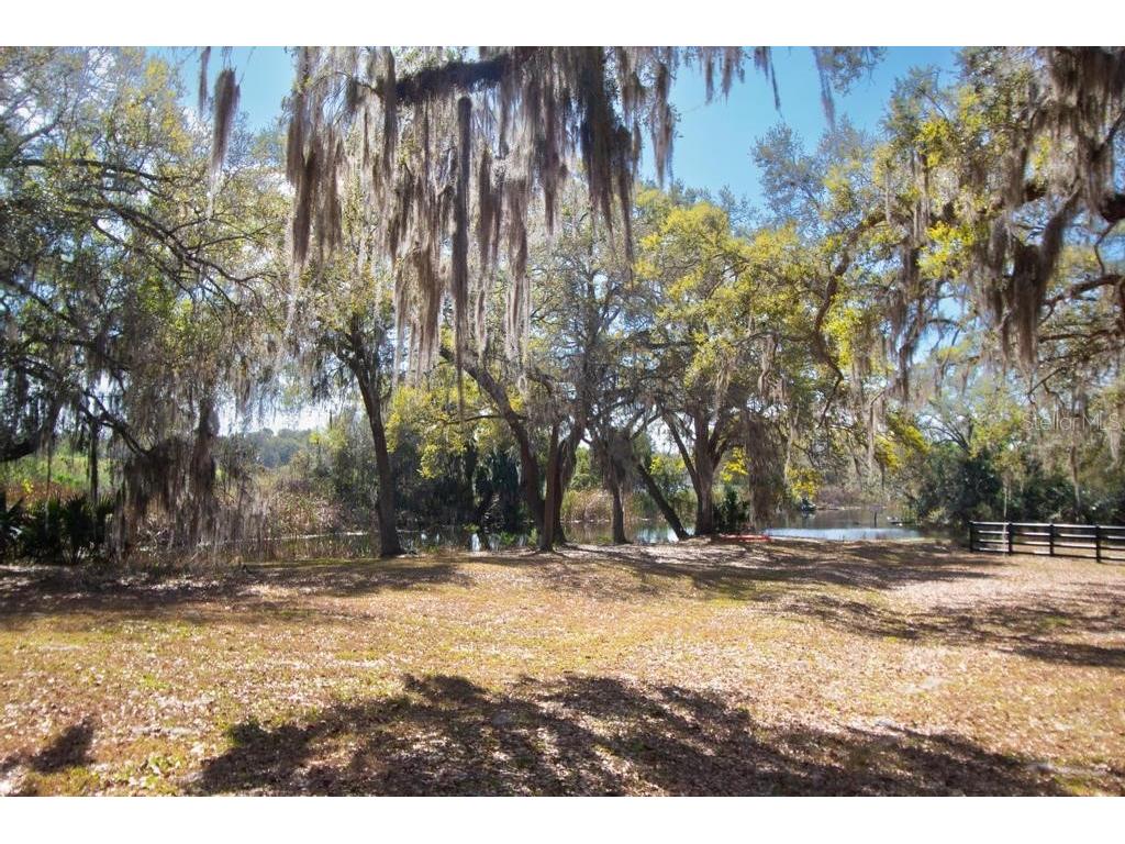 15950 Splendid Oaks Lane Tavares FL 32778 O6390629 image38