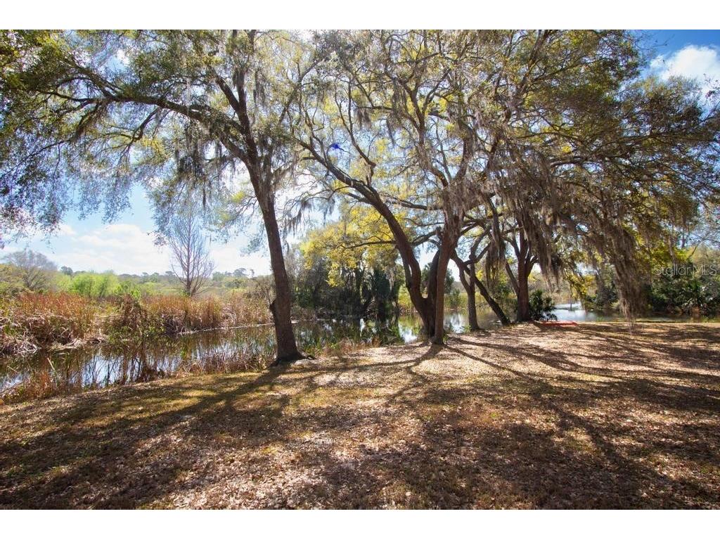 15950 Splendid Oaks Lane Tavares FL 32778 O6390629 image39