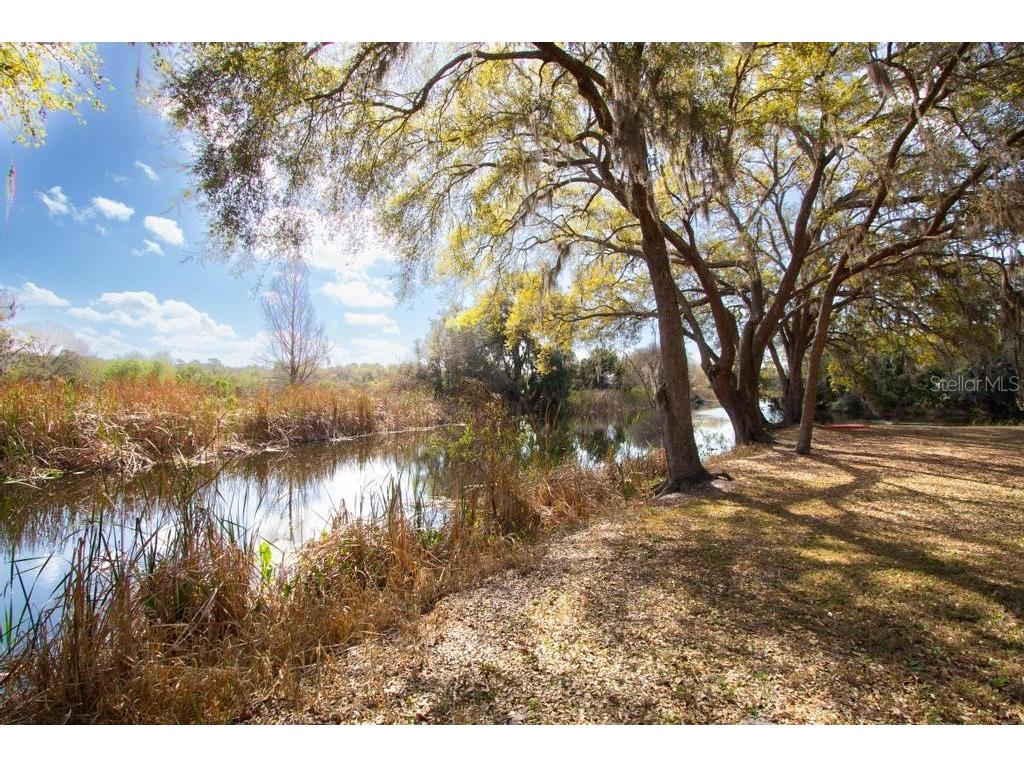 15950 Splendid Oaks Lane Tavares FL 32778 O6390629 image40
