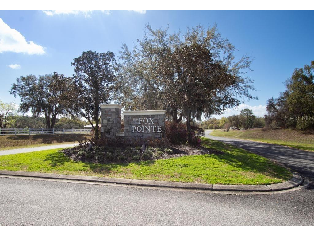 15950 Splendid Oaks Lane Tavares FL 32778 O6390629 image42