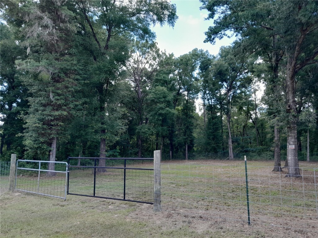 15951 NE 1st Street Williston FL 32696 OM679392 image1