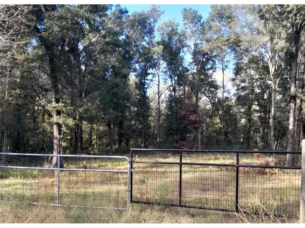 15951 NE 1st Street Williston FL 32696 G5088825 image1