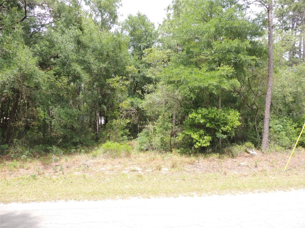 15955 NE 13th Street Williston FL 32696 OM677612 image6