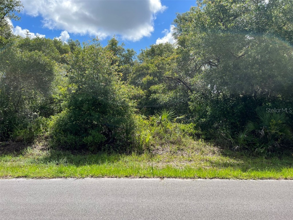 1596 Frisco Terrace Port Charlotte FL 33953 C7461571 image1