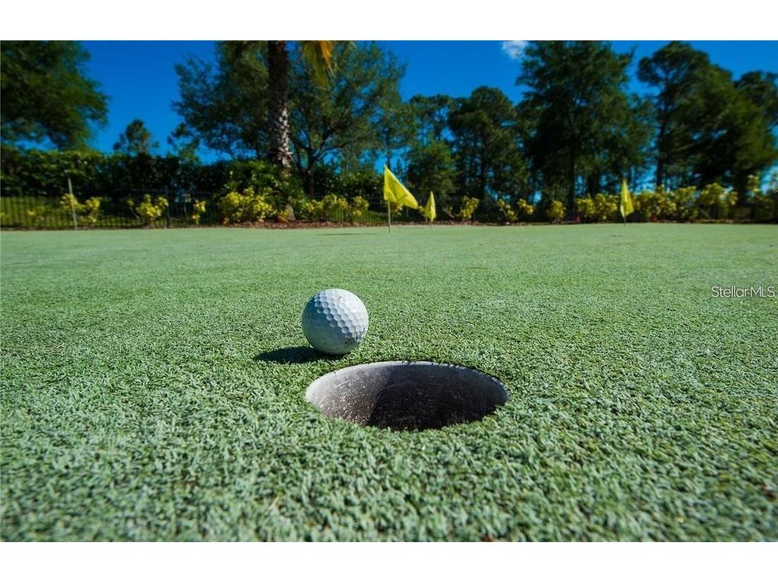 1596 Hyssop Loop North Port FL 34289 C7524100 image93