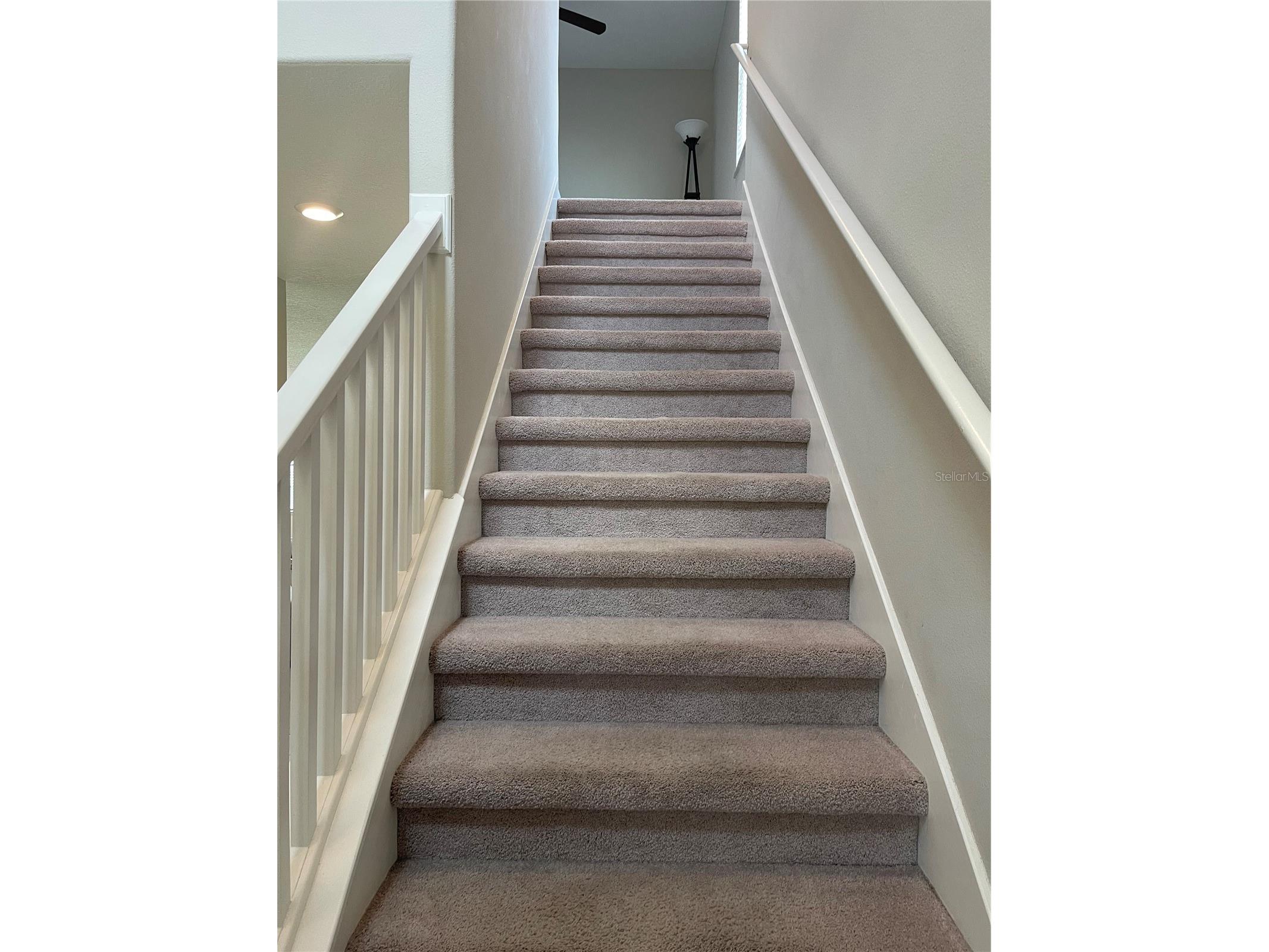1596 Ludington Avenue Wesley Chapel FL 33543 TB8529204 image20