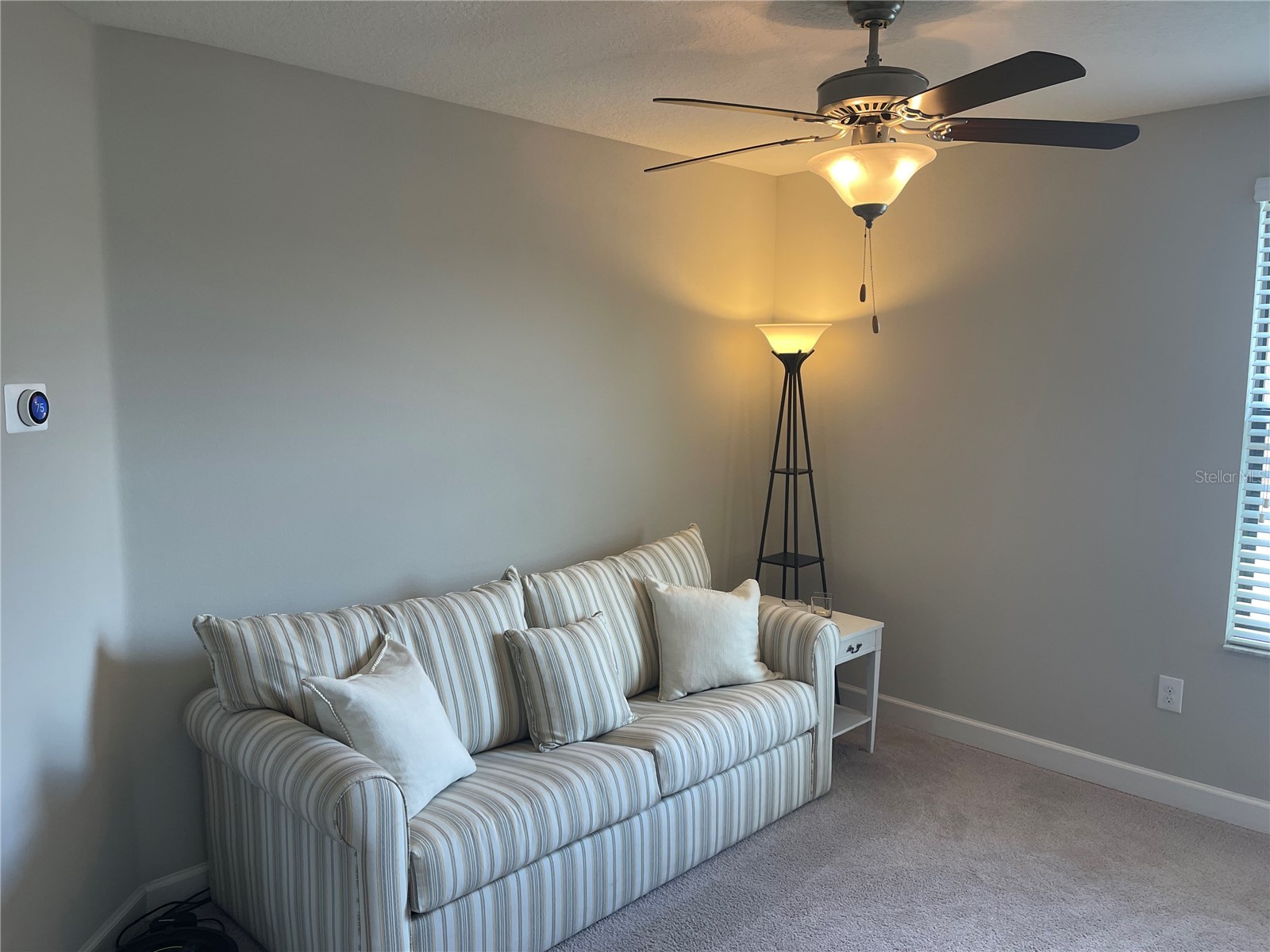 1596 Ludington Avenue Wesley Chapel FL 33543 TB8529204 image24