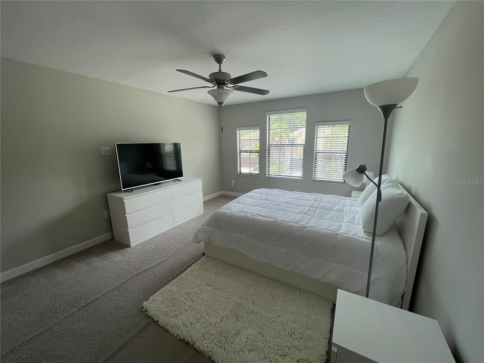 1596 Ludington Avenue Wesley Chapel FL 33543 TB8529204 image25
