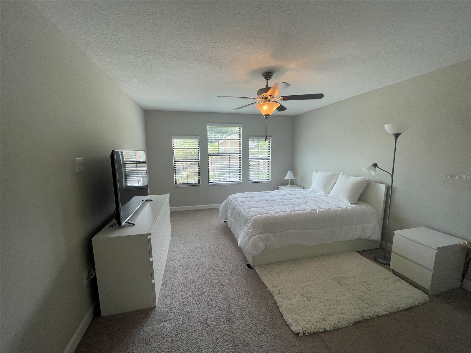 1596 Ludington Avenue Wesley Chapel FL 33543 TB8529204 image26