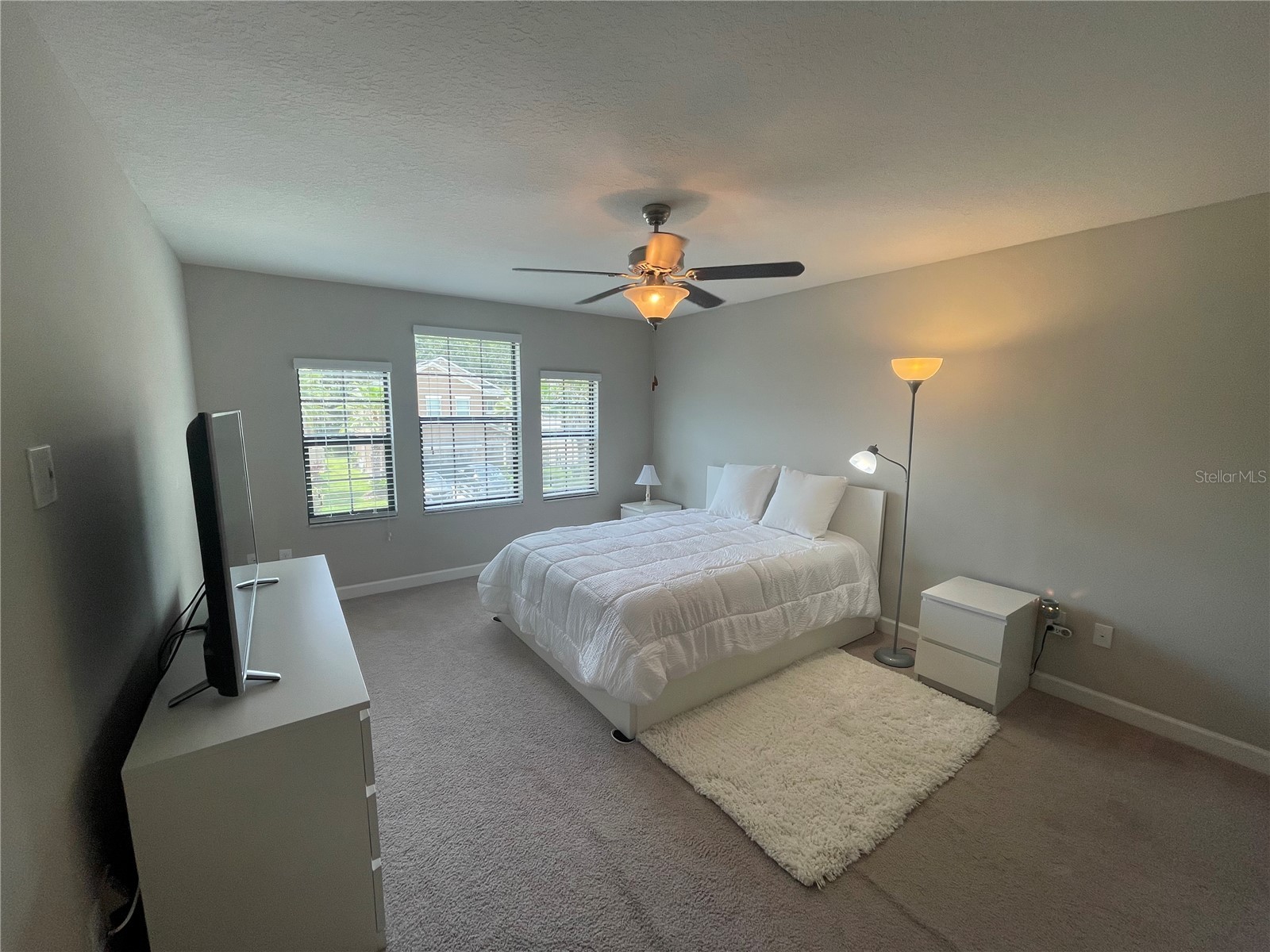 1596 Ludington Avenue Wesley Chapel FL 33543 TB8529204 image28