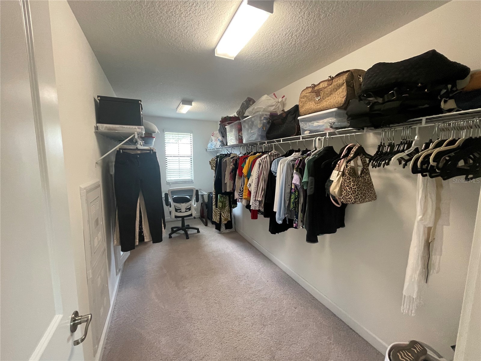 1596 Ludington Avenue Wesley Chapel FL 33543 TB8529204 image33