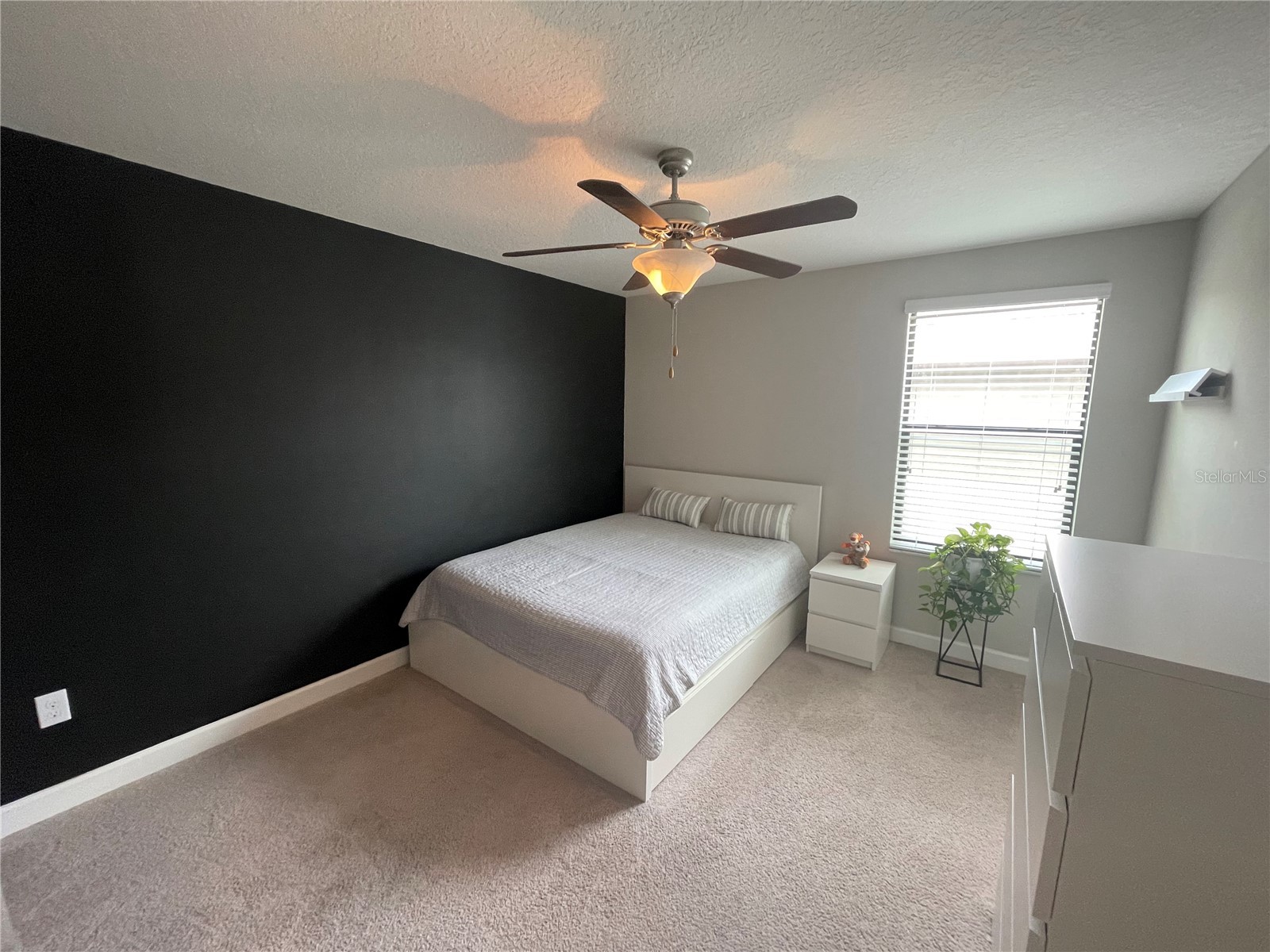1596 Ludington Avenue Wesley Chapel FL 33543 TB8529204 image39