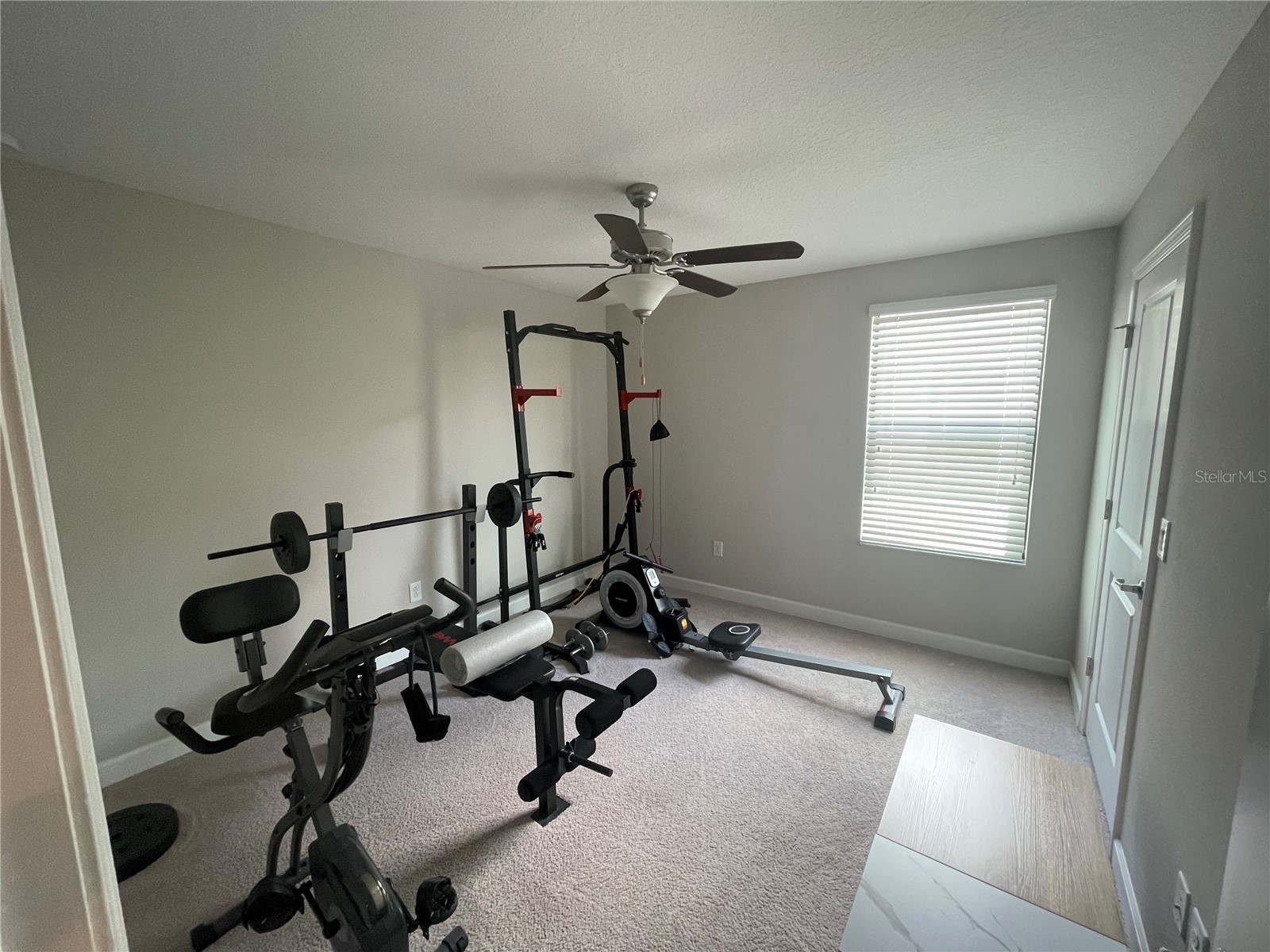 1596 Ludington Avenue Wesley Chapel FL 33543 TB8529204 image41