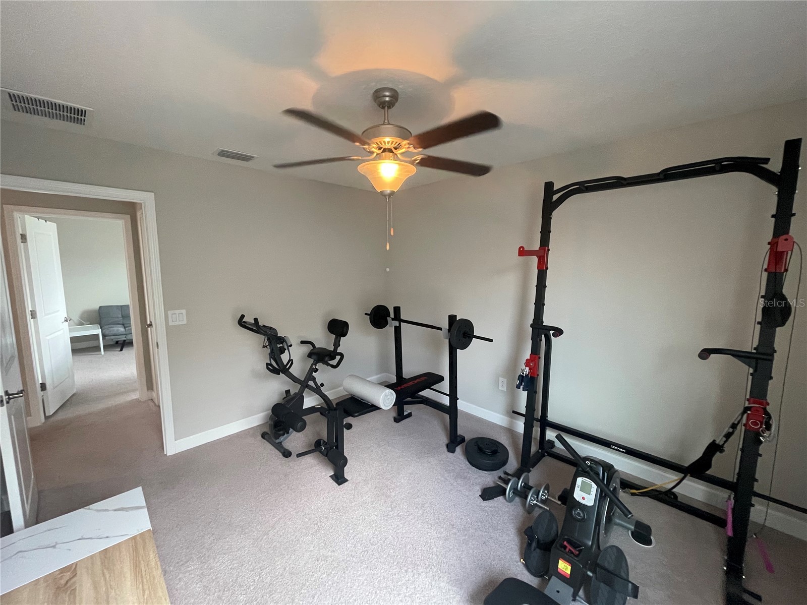 1596 Ludington Avenue Wesley Chapel FL 33543 TB8529204 image42