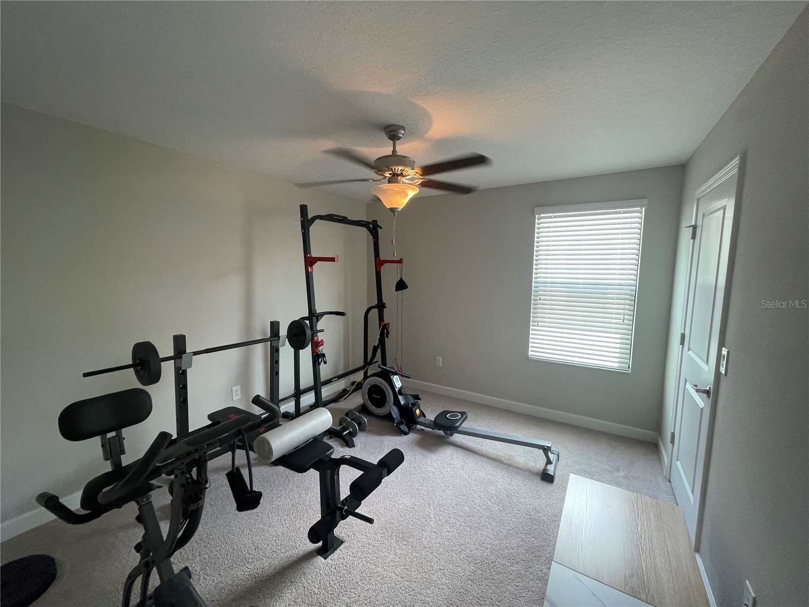 1596 Ludington Avenue Wesley Chapel FL 33543 TB8529204 image43