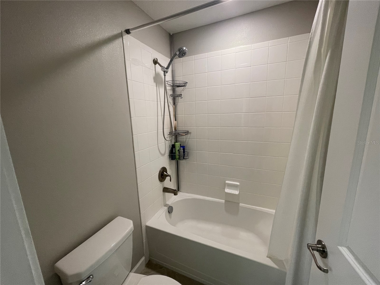 1596 Ludington Avenue Wesley Chapel FL 33543 TB8529204 image45