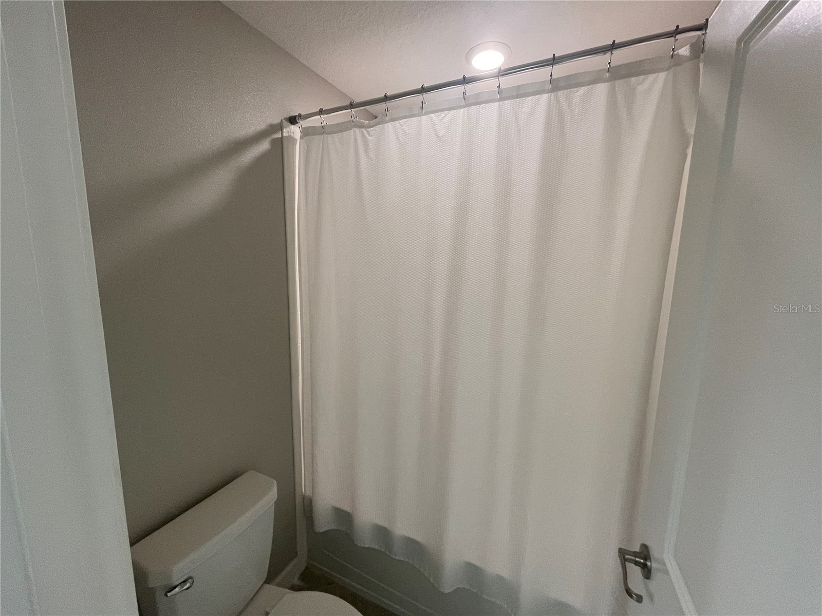 1596 Ludington Avenue Wesley Chapel FL 33543 TB8529204 image46